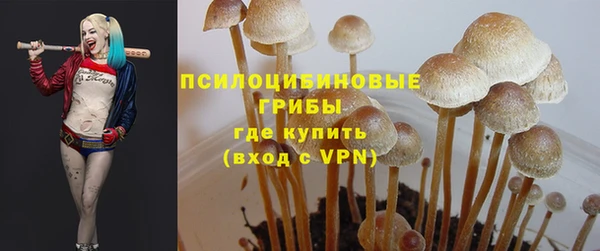 гидропоника Богородицк