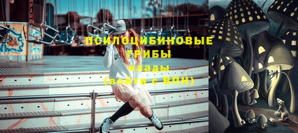 apvp Богданович