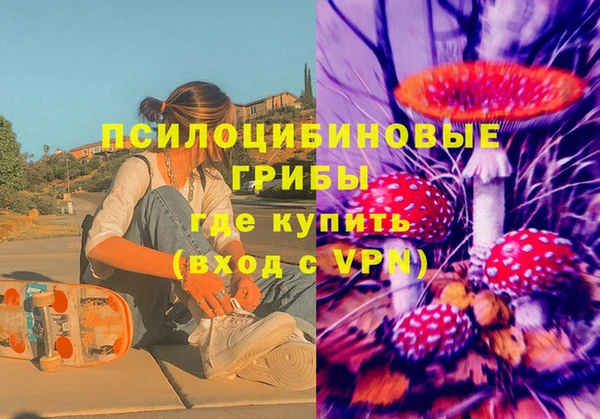 apvp Богданович
